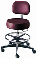 Brewer Counter Height Stool with Footring and Backrest